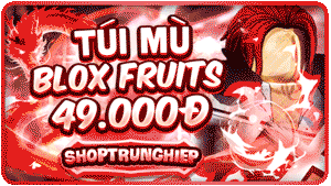 TÚI MÙ BLOX FRUITS 49K
